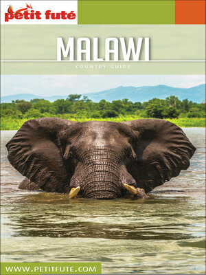 cover image of MALAWI 2019/2020 Petit Futé